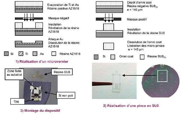 Caractérisation d'une pince en polymère